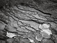 Grand Teton and Yellowstone